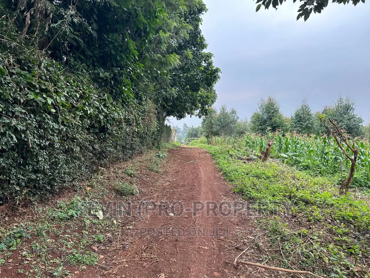 Prime Plot for Sale in Lower Kabete