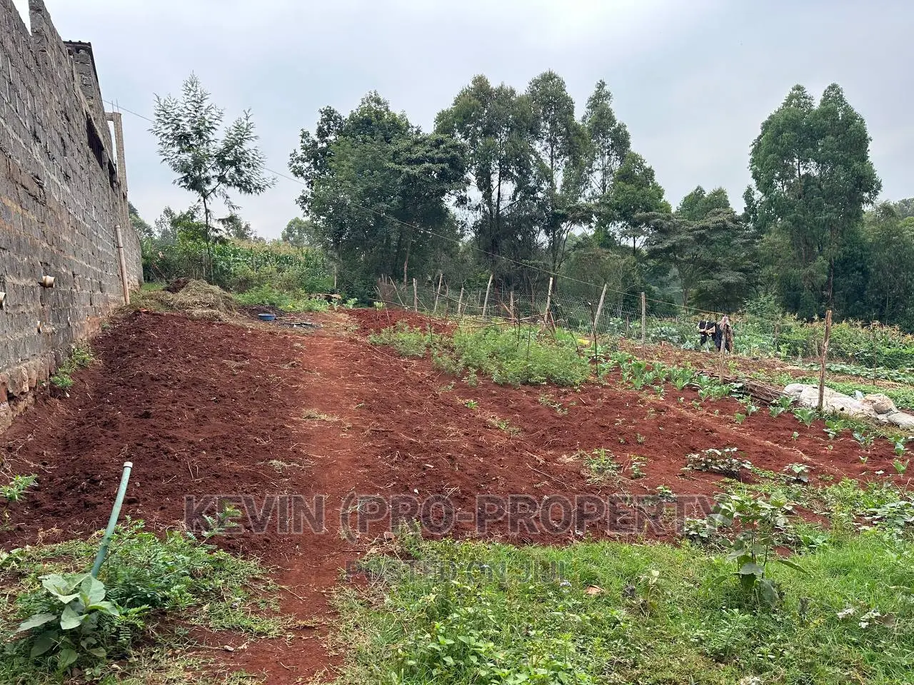 Prime Plot for Sale in Lower Kabete