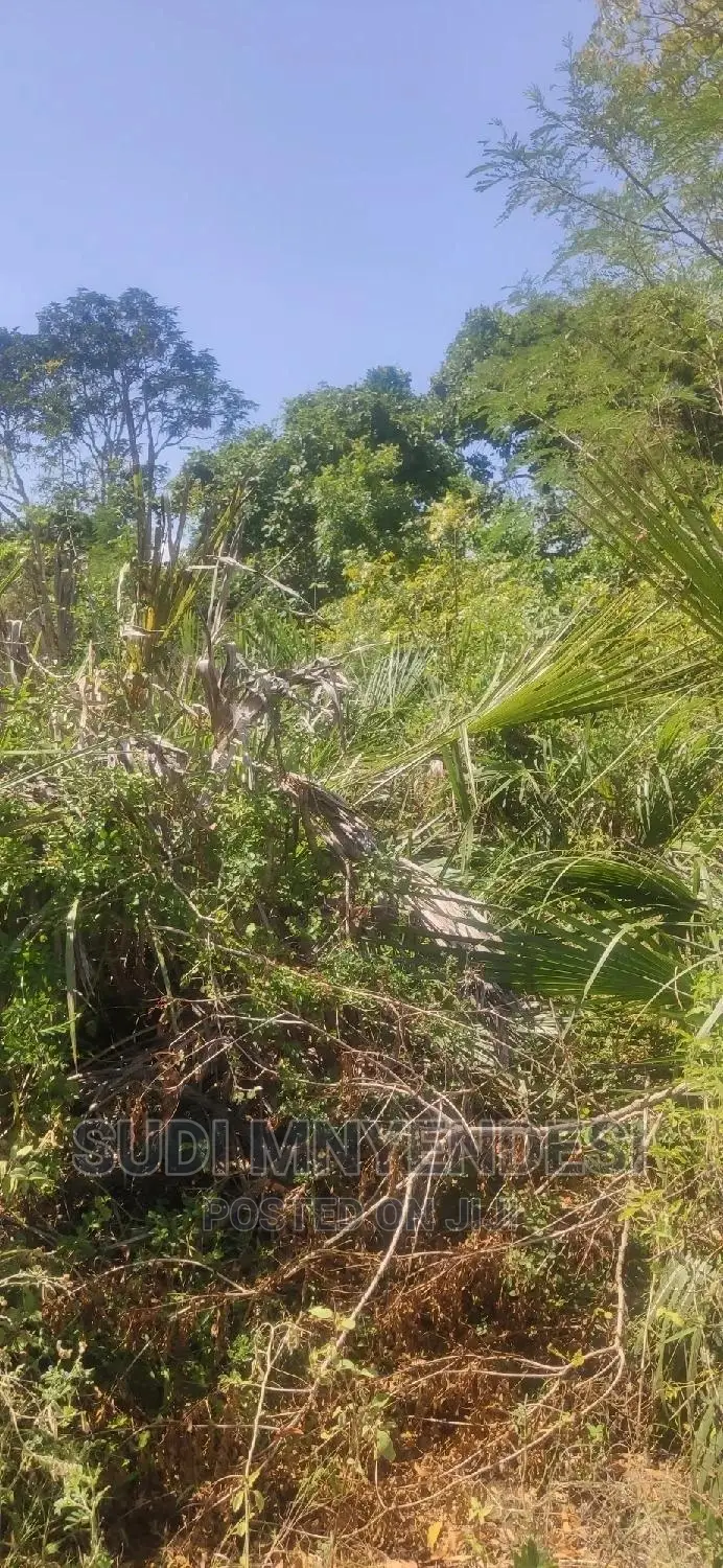 Kwale County Tiwi 1.25 Acres Second Row From the Beach