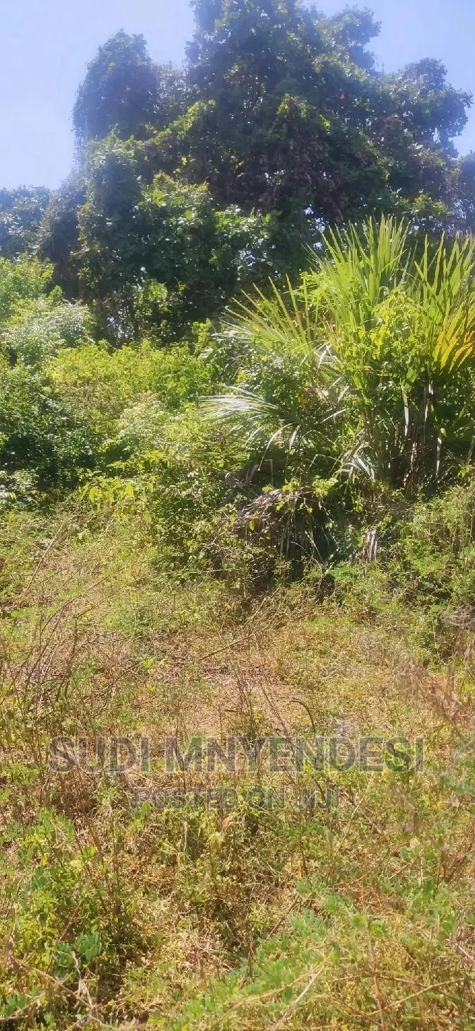 Kwale County Tiwi 1.25 Acres Second Row From the Beach