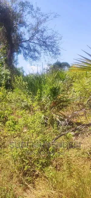 Kwale County Tiwi 1.25 Acres Second Row From the Beach