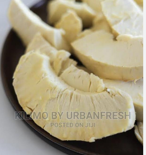 Bread Fruit Seedlings - thumbnail 3