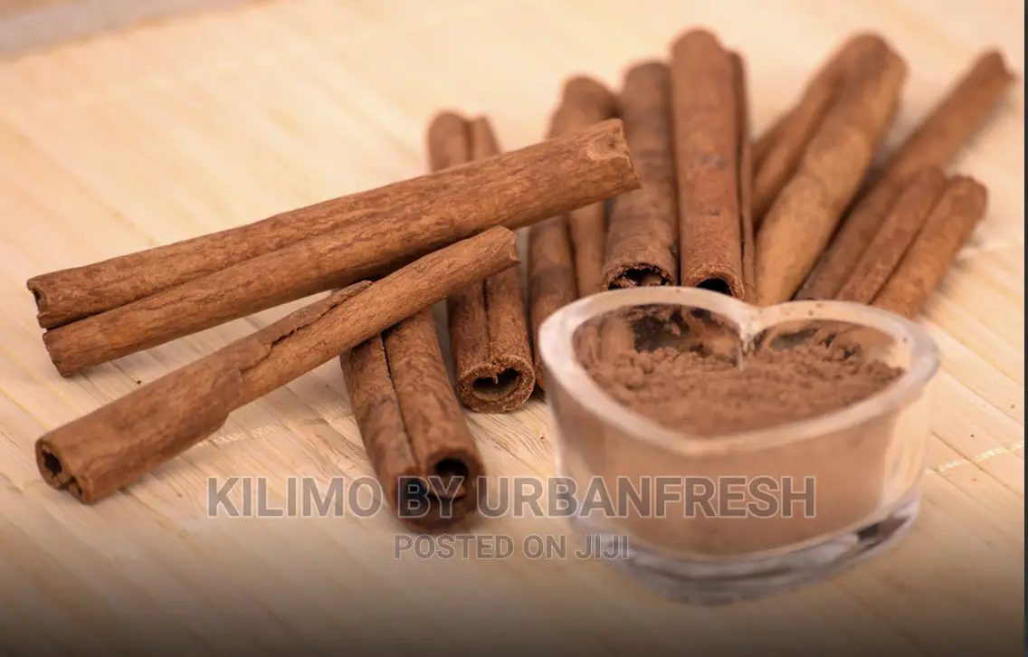 Cinnamon Seedlings