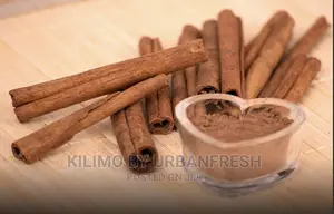 Cinnamon Seedlings