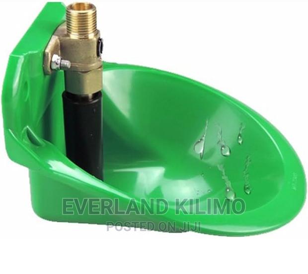 Automatic Sheep Goat Water Bowl - main view