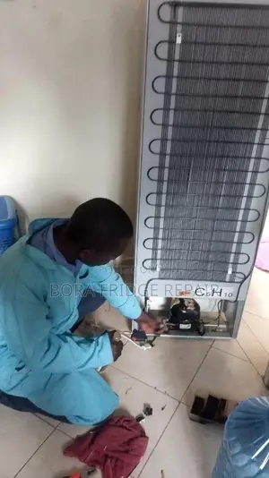 Fridge Repairs