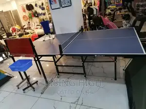 Table Tennis. Official Competition