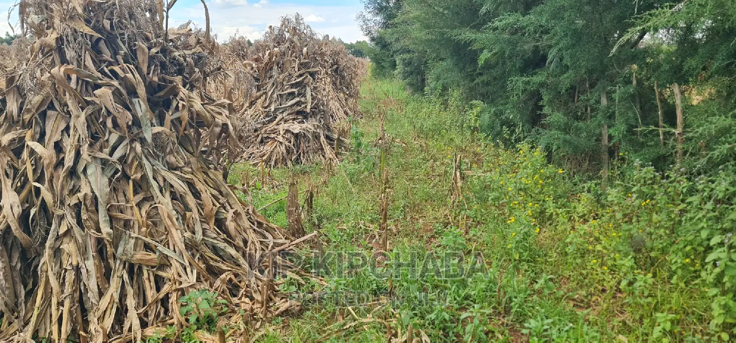 Plots for Sale Proposed MTRH Kibulgeny Kiplombe Eldoret
