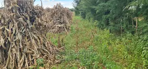 Plots for Sale Proposed MTRH Kibulgeny Kiplombe Eldoret
