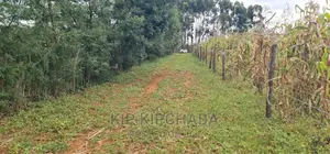 Plots for Sale Proposed MTRH Kibulgeny Kiplombe Eldoret