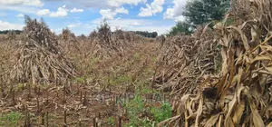 Plots for Sale Proposed MTRH Kibulgeny Kiplombe Eldoret