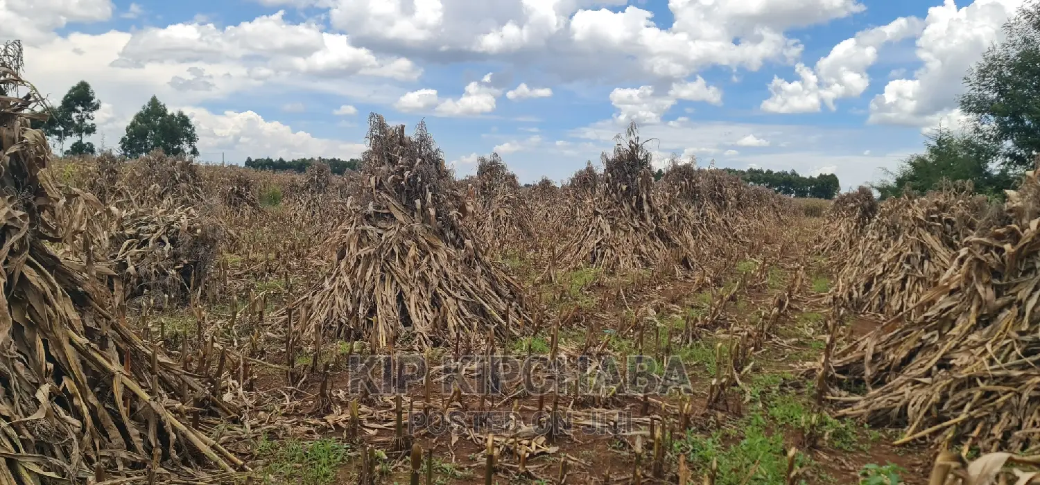 Plots for Sale Proposed MTRH Kibulgeny Kiplombe Eldoret
