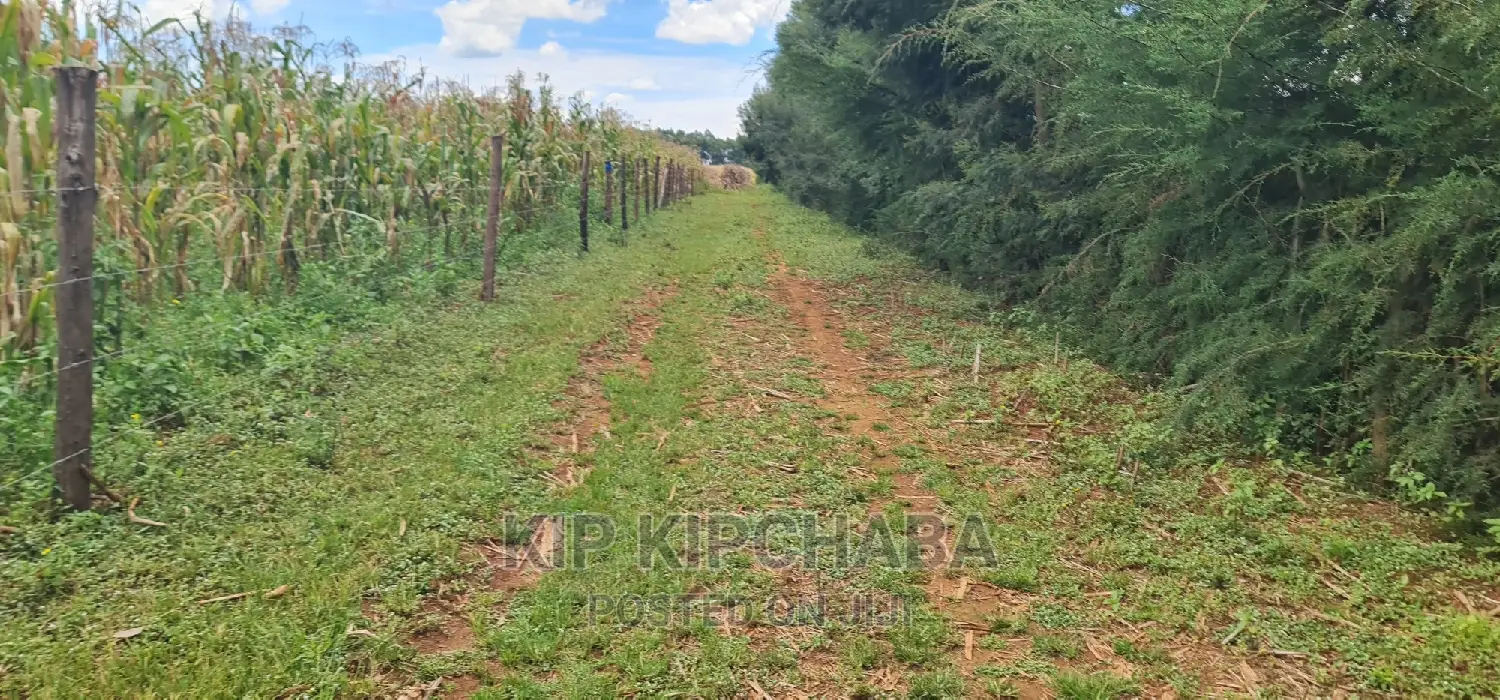 Plots for Sale Proposed MTRH Kibulgeny Kiplombe Eldoret