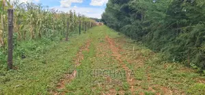 Plots for Sale Proposed MTRH Kibulgeny Kiplombe Eldoret