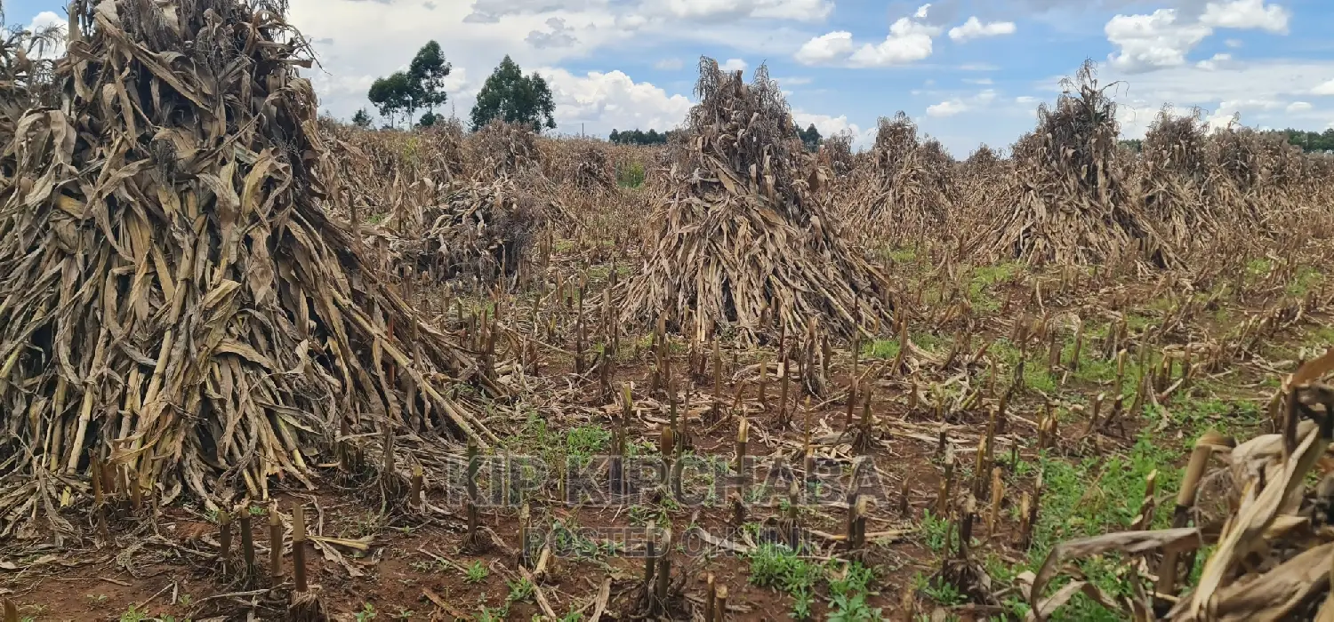 Plots for Sale Proposed MTRH Kibulgeny Kiplombe Eldoret