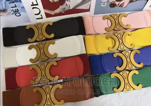 Fancy Ladies Belt