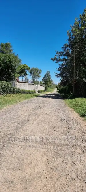 Prime Plots- Nanyuki Airstrip