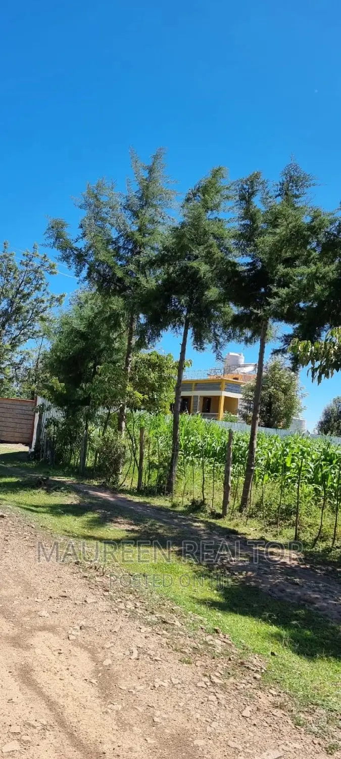 Prime Plots- Nanyuki Airstrip