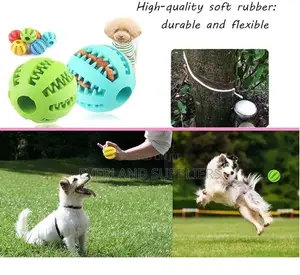 Dog Ball for Treats