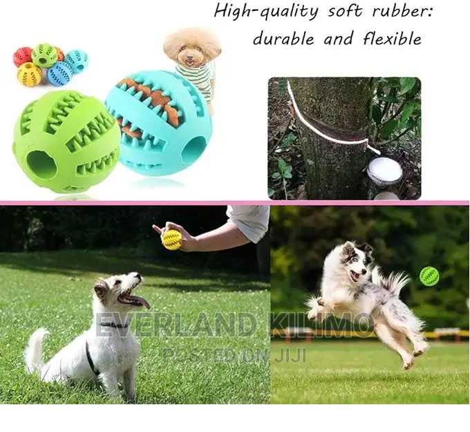 Dog Ball for Treats