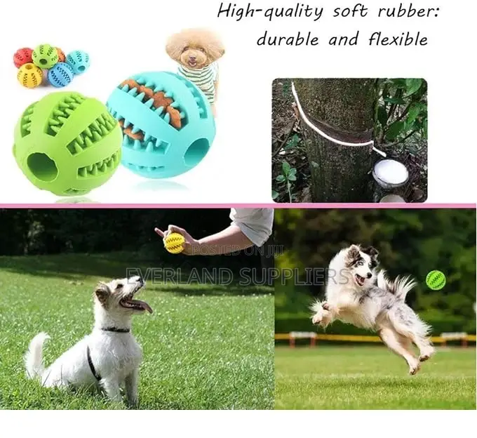 Dog Ball for Treats