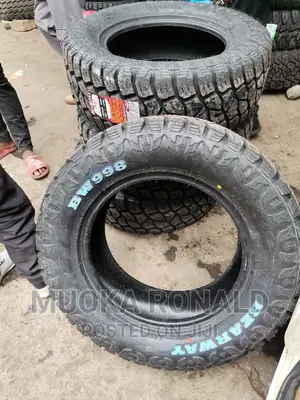 285/60r18 Bearway Tyre