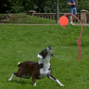 Tug Ball Toy