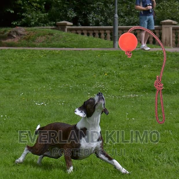 Tug Ball Toy - main view