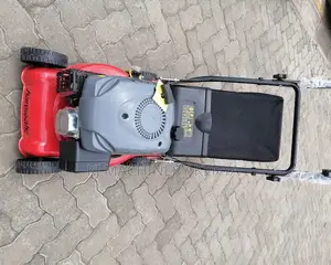 Lawnmower Hanseatic