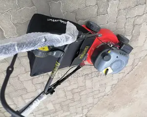 Lawnmower Hanseatic