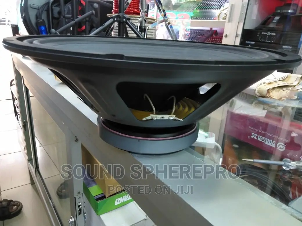 BM 15az-21b 15inch Naked Speaker