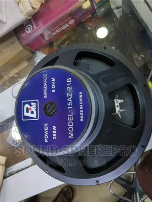 BM 15az-21b 15inch Naked Speaker
