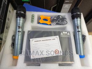 Wireless Microphone Golden 312 Professional - main view