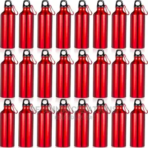 Maroon Red 750 Ml Water Bottle