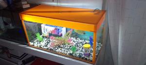 Orange Desktop Aquarium. - thumbnail 2