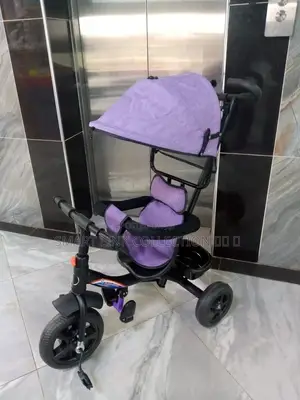 Tricycle With Canopy and Protective Bar Deterchable Handle