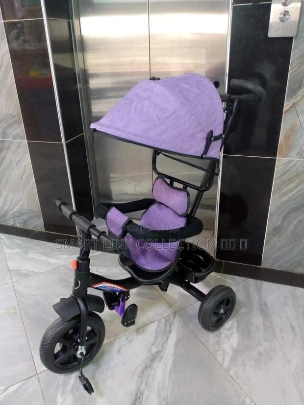 Tricycle With Canopy and Protective Bar Deterchable Handle