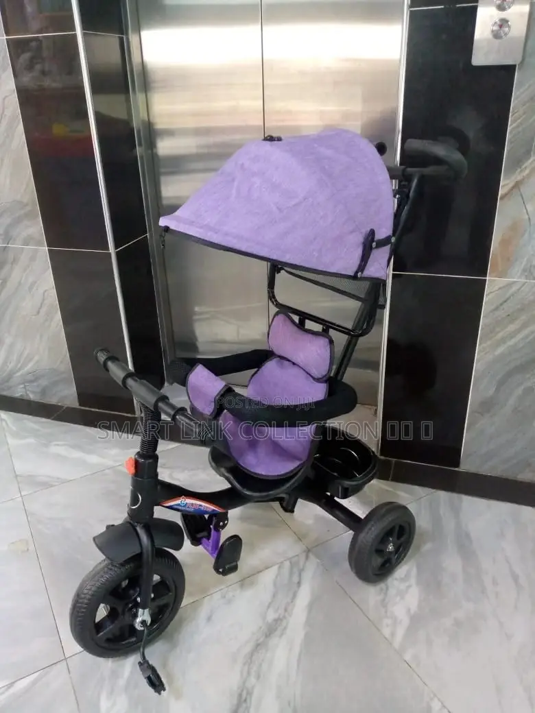 Tricycle With Canopy and Protective Bar Deterchable Handle