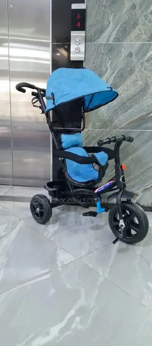Tricycle With Canopy and Protective Bar Deterchable Handle