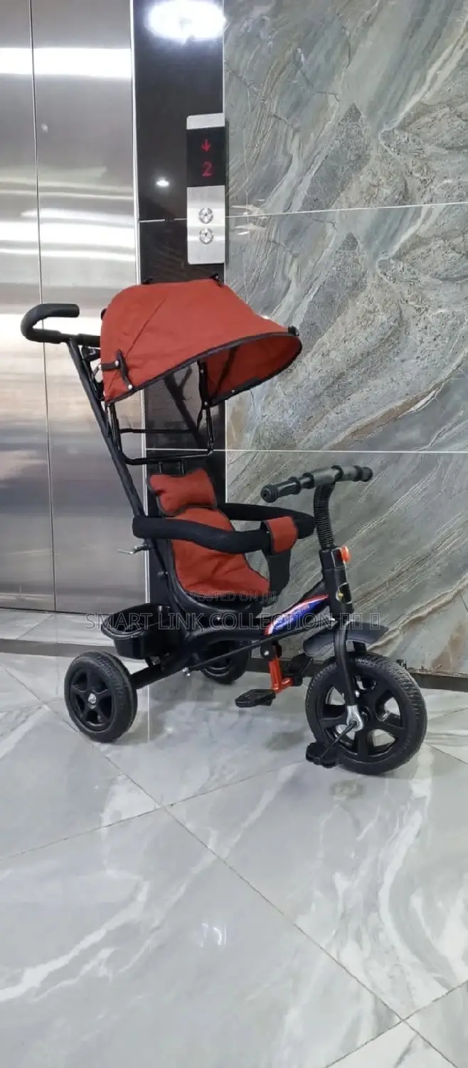 Tricycle With Canopy and Protective Bar Deterchable Handle