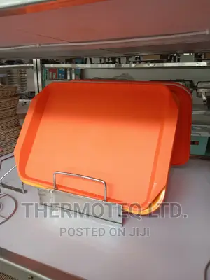 Tray/Serving Trays/Food Tray/Non Stick Tray/Heat Resistant