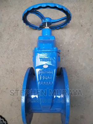 8" Sluice Valve