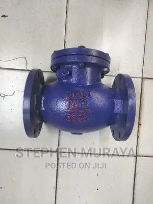 4" Non Return Valve