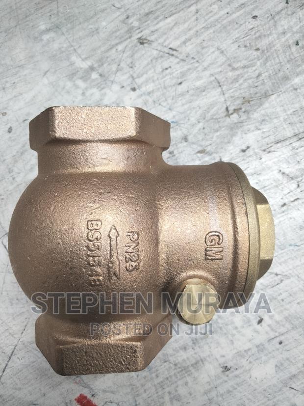 2" Pegler Non Return Valve - main view