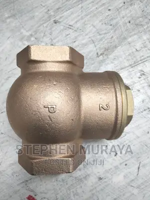 2" Pegler Non Return Valve