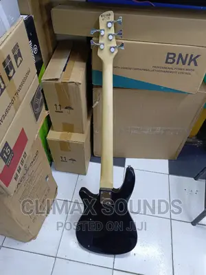 Bass Guitar 5 String Ibanezz