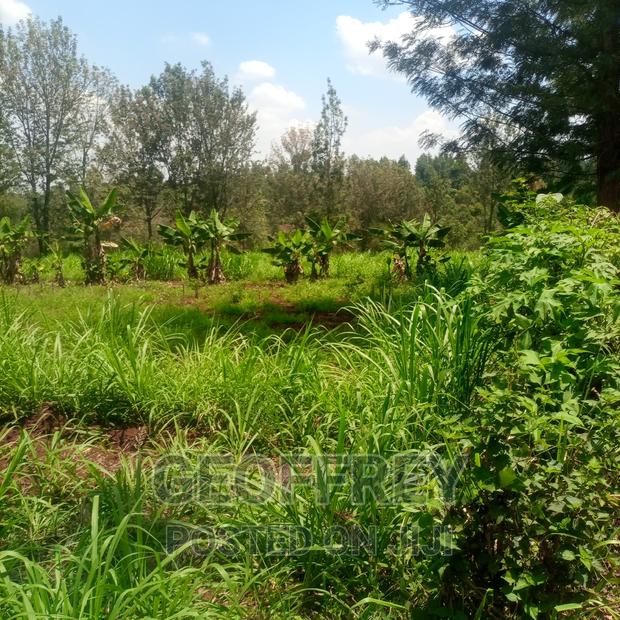 Selling 2 Acres in Kiganjo Rd Kiamwangi Gatundu