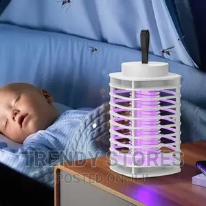 Mosquito Trap Lamp