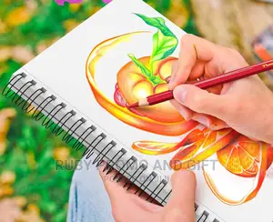 3 Pack Professional A3 Sketch Book
