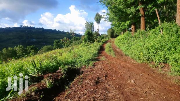 One Acre Mua Hills - thumbnail 3